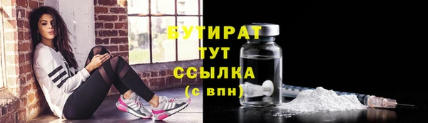 шишки Осташков