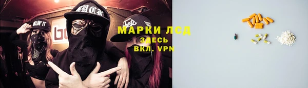 прущие грибы Арсеньев