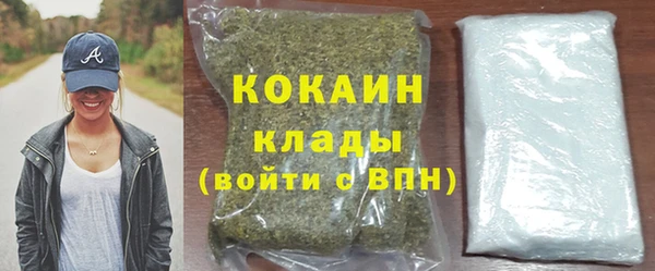 прущие грибы Арсеньев
