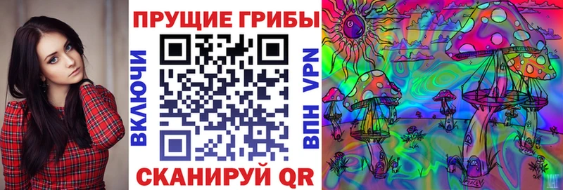 Псилоцибиновые грибы Psilocybe  купить наркотики цена  OMG рабочий сайт  Верхоянск 